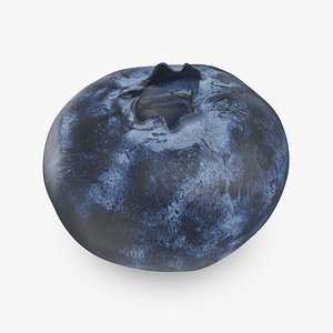Blueberry 02