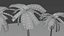 Coconut Palm 3D model