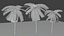 Coconut Palm 3D model