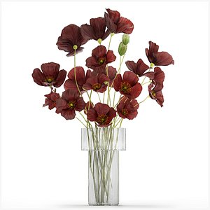 Beautiful bouquet of wild flowers in a vase with Poppy 3D model