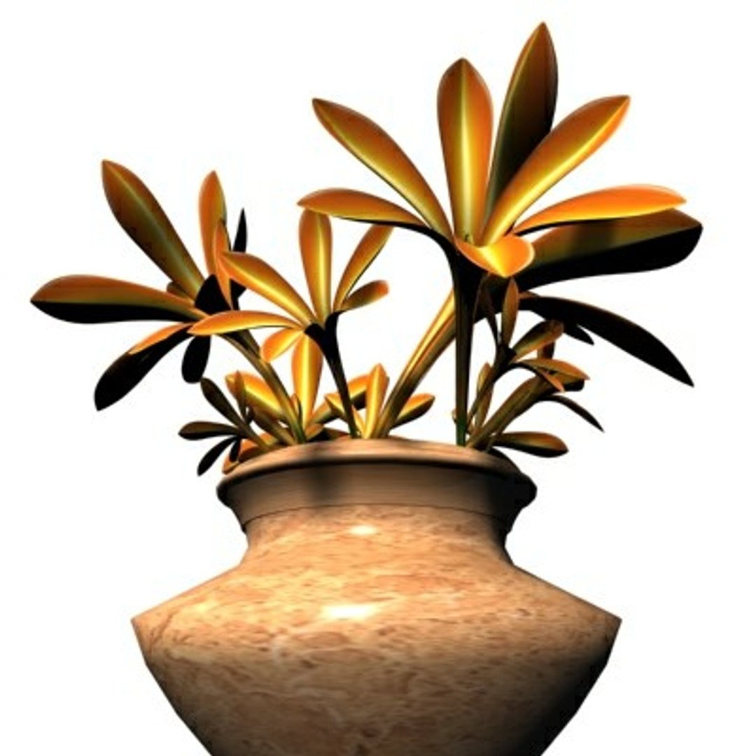 realistic medium orchid 3d model https://p.turbosquid.com/ts-thumb/uU/FLBM5u/0SZrTzkv/orva06/jpg/1244429755/1920x1080/fit_q87/5b883178afe88680c0ab43d3108955ba57e24eea/orva06.jpg