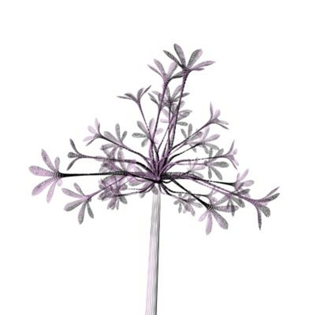 realistic medium orchid 3d model https://p.turbosquid.com/ts-thumb/uU/FLBM5u/1cX2tulc/rchid2aw08/jpg/1244429152/1920x1080/fit_q87/3de539f5b447c9b5e447f7a5048f74e9da076a7a/rchid2aw08.jpg