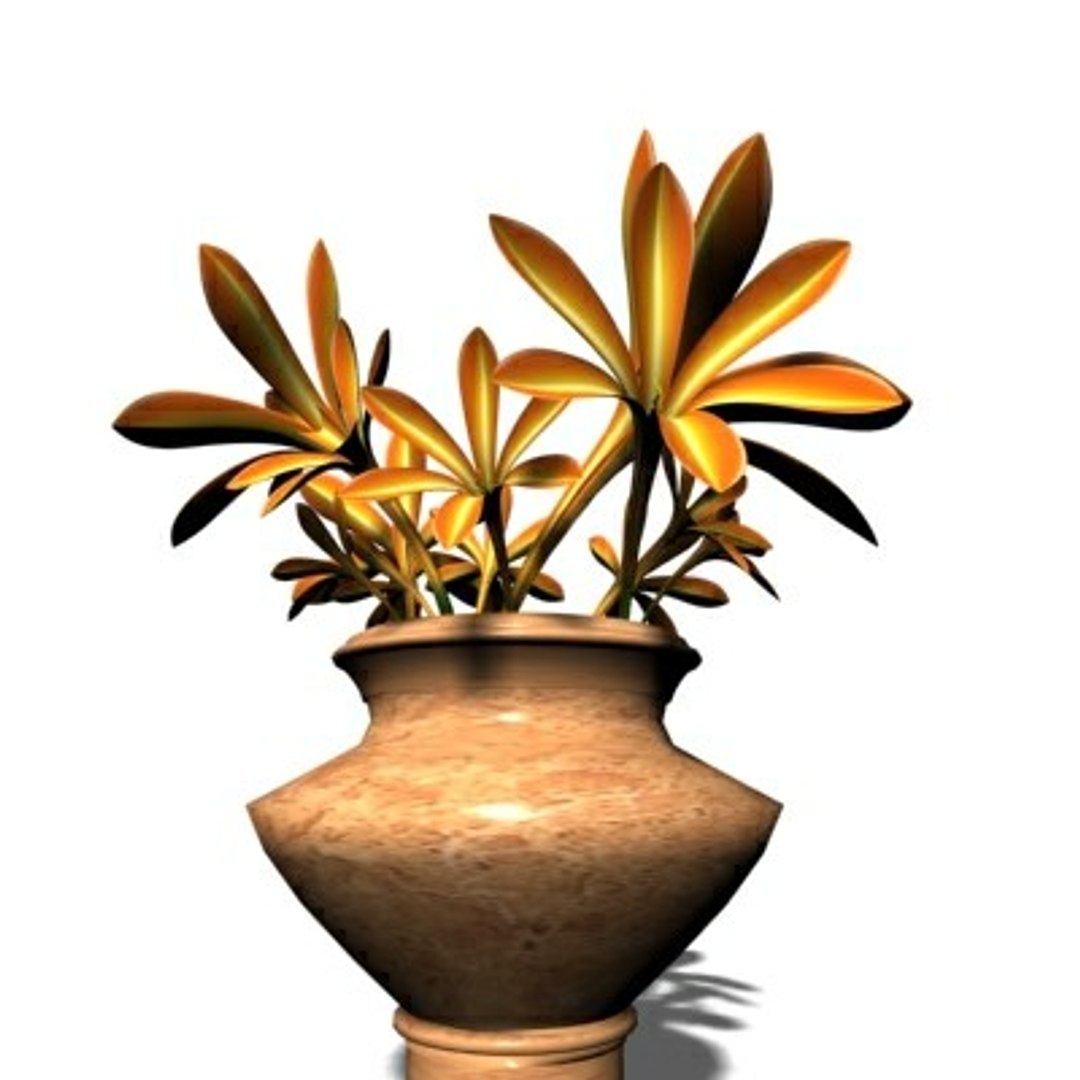 realistic medium orchid 3d model https://p.turbosquid.com/ts-thumb/uU/FLBM5u/20PjwVEm/orva07/jpg/1244429759/1920x1080/fit_q87/cc7e8b9dbfdd848523c94c1d2af461fcc096f2f8/orva07.jpg