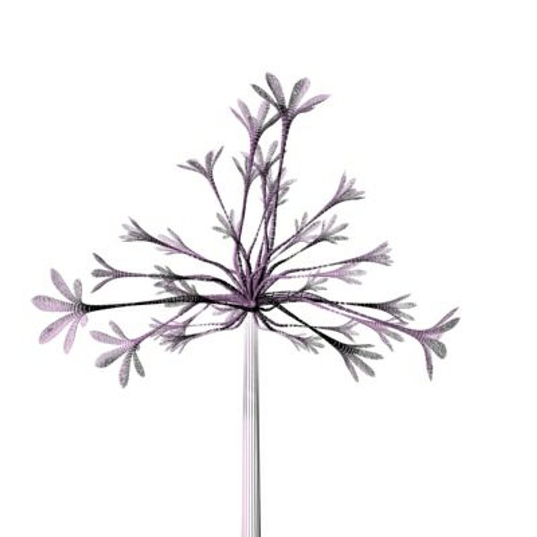 realistic medium orchid 3d model https://p.turbosquid.com/ts-thumb/uU/FLBM5u/3OfW8x1e/rchid2aw06/jpg/1244429143/1920x1080/fit_q87/dac2af974065ca42f14a28d61068fdda1820adb4/rchid2aw06.jpg