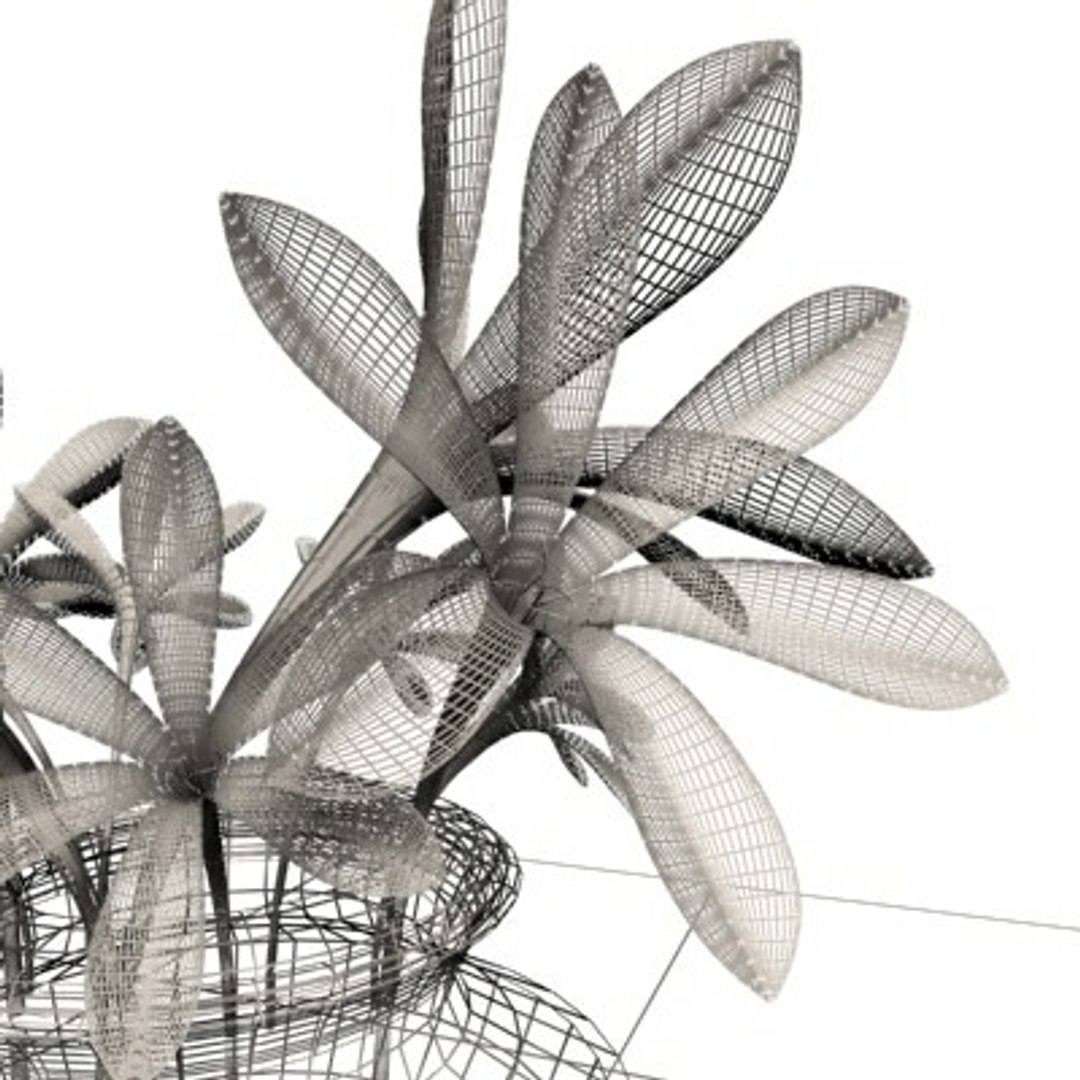 realistic medium orchid 3d model https://p.turbosquid.com/ts-thumb/uU/FLBM5u/7aXw7Soh/orvaw2/jpg/1244429772/1920x1080/fit_q87/33e02279ee23abefc4ee6ba2bcd4af232e21577b/orvaw2.jpg