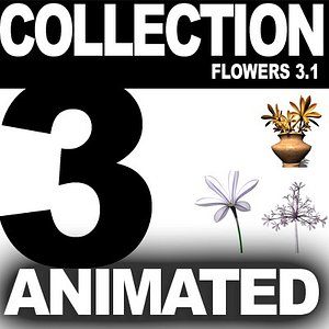 realistic medium orchid 3d model