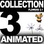 COLLECTION FLOWERS ANIMATED3.1