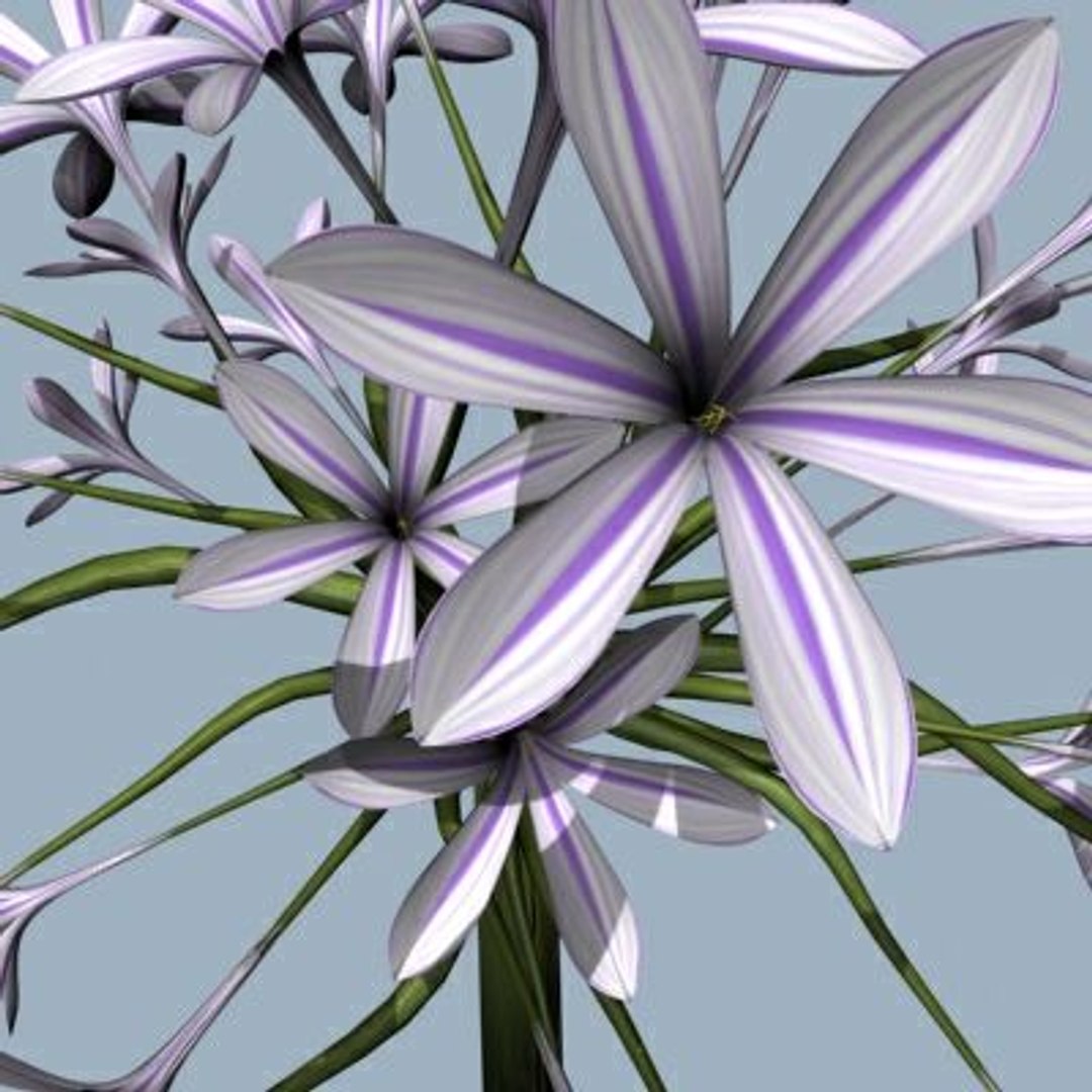 realistic medium orchid 3d model https://p.turbosquid.com/ts-thumb/uU/FLBM5u/9YxuwHxs/rchid208/jpg/1244428308/1920x1080/fit_q87/6467c896d605108400274d5b974c1417383c6d42/rchid208.jpg