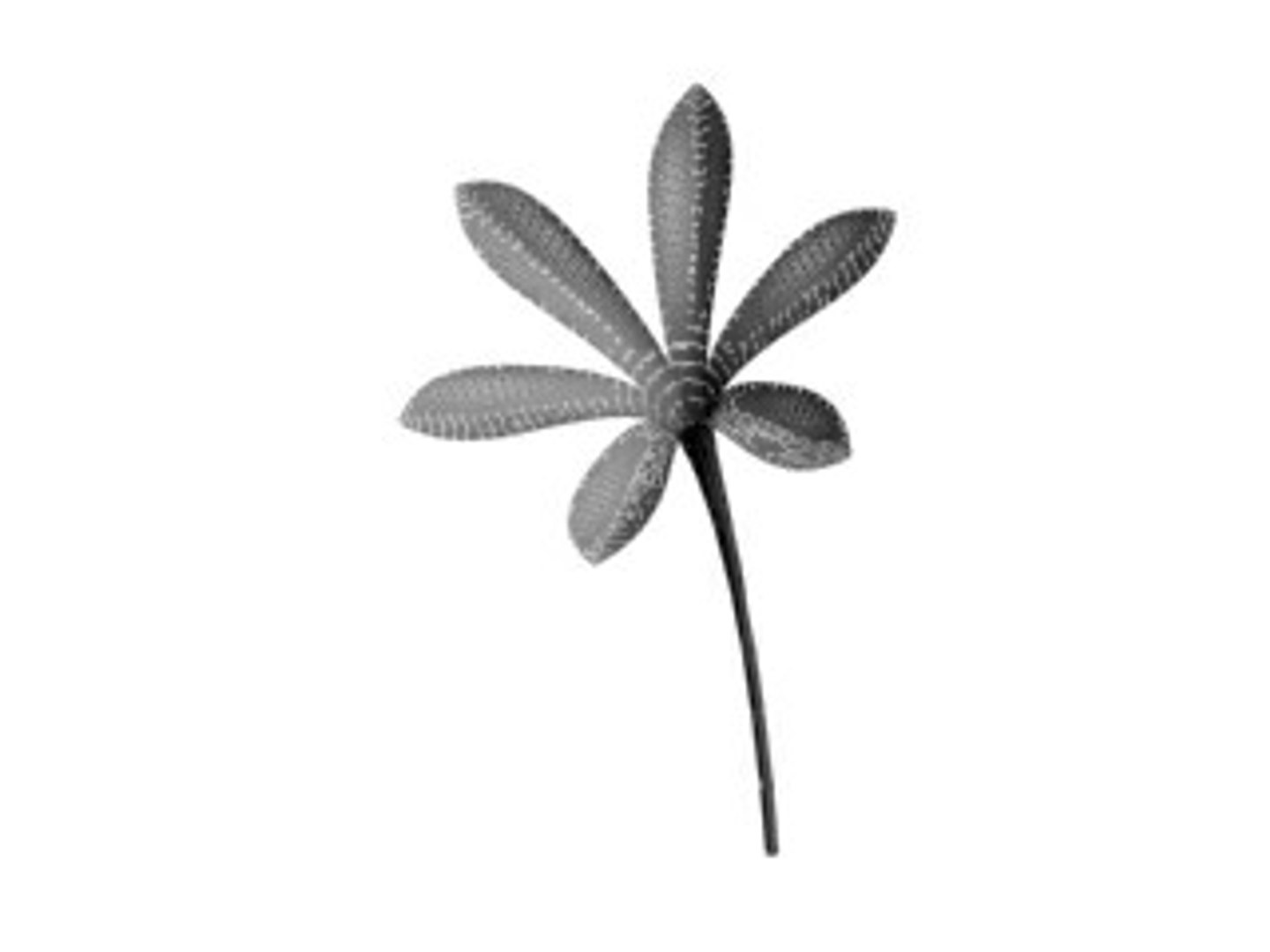 realistic medium orchid 3d model https://p.turbosquid.com/ts-thumb/uU/FLBM5u/C0gF9CHa/oropw2/jpg/1244427355/1920x1080/fit_q87/096ac8dcb5470af0c75508e479e17a910c260de9/oropw2.jpg