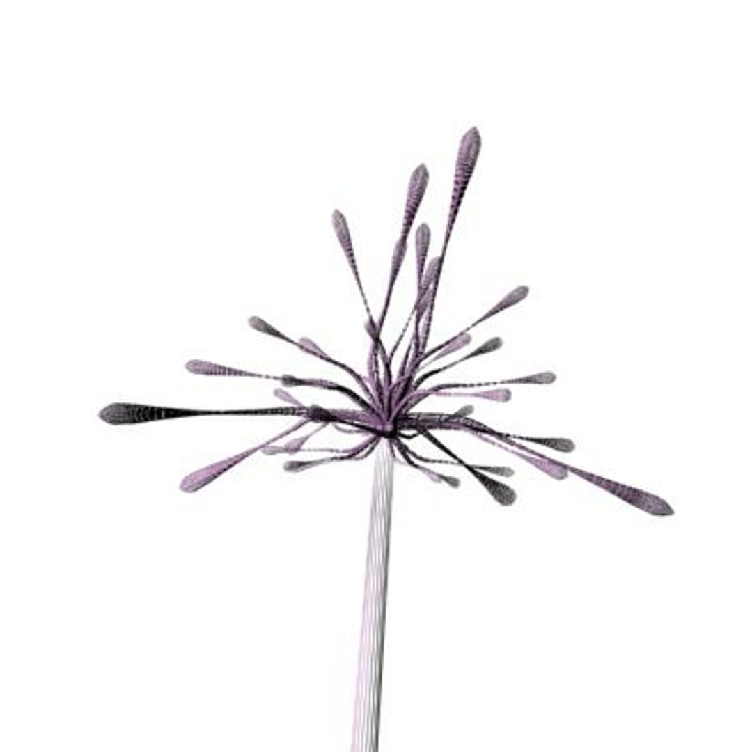 realistic medium orchid 3d model https://p.turbosquid.com/ts-thumb/uU/FLBM5u/E7K4qIrq/rchid2aw02/jpg/1244428797/1920x1080/fit_q87/17356550279ae3475bcd94da468e8b2e23802a1c/rchid2aw02.jpg