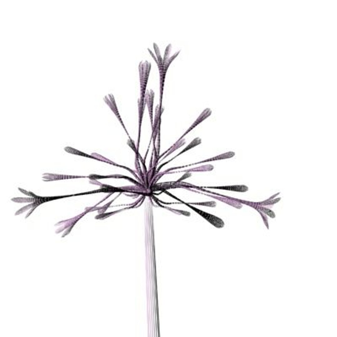 realistic medium orchid 3d model https://p.turbosquid.com/ts-thumb/uU/FLBM5u/EzfqTt87/rchid2aw04/jpg/1244428819/1920x1080/fit_q87/fbc834d556e83c841906a6834b711ba6ebfdd912/rchid2aw04.jpg