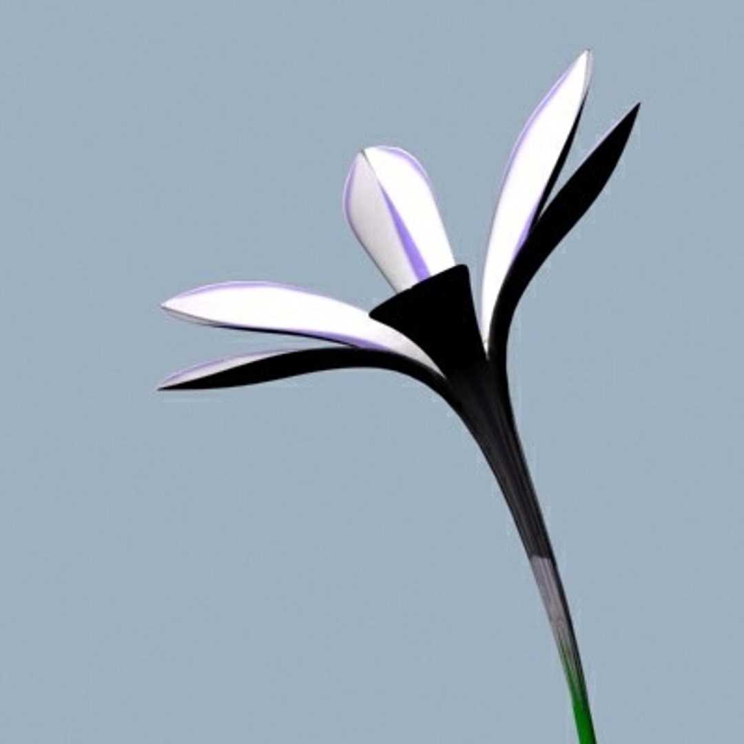 realistic medium orchid 3d model https://p.turbosquid.com/ts-thumb/uU/FLBM5u/FhoRkks2/orop03/jpg/1244427158/1920x1080/fit_q87/f45e01bb3ea1bfdddd95da0791a8121d09381901/orop03.jpg