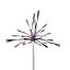 COLLECTION FLOWERS ANIMATED3.1