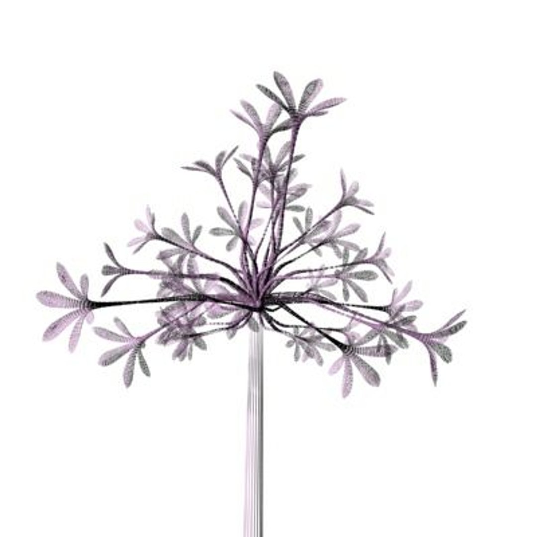 realistic medium orchid 3d model https://p.turbosquid.com/ts-thumb/uU/FLBM5u/IDpjNBQK/rchid2aw09/jpg/1244429156/1920x1080/fit_q87/d7414fd59495f436cbbbf3ac0157bf2aa1546f5c/rchid2aw09.jpg