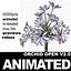 COLLECTION FLOWERS ANIMATED3.1