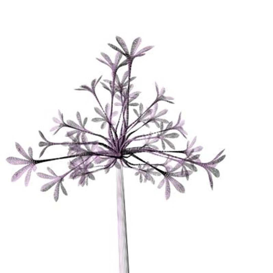 realistic medium orchid 3d model https://p.turbosquid.com/ts-thumb/uU/FLBM5u/QxVYWNlV/rchid2aw11/jpg/1244429164/1920x1080/fit_q87/0d9c3710d41899562de5235f19647bb58d0406d9/rchid2aw11.jpg