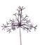 COLLECTION FLOWERS ANIMATED3.1