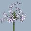 COLLECTION FLOWERS ANIMATED3.1