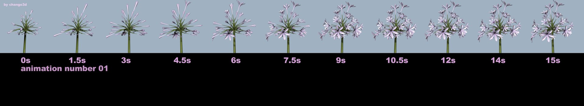 realistic medium orchid 3d model https://p.turbosquid.com/ts-thumb/uU/FLBM5u/ZGSxIXCy/ani1orchid/jpg/1244428096/1920x1080/fit_q87/4db215a7d1d1de221e4af1de6e5e7ce4809e5a15/ani1orchid.jpg