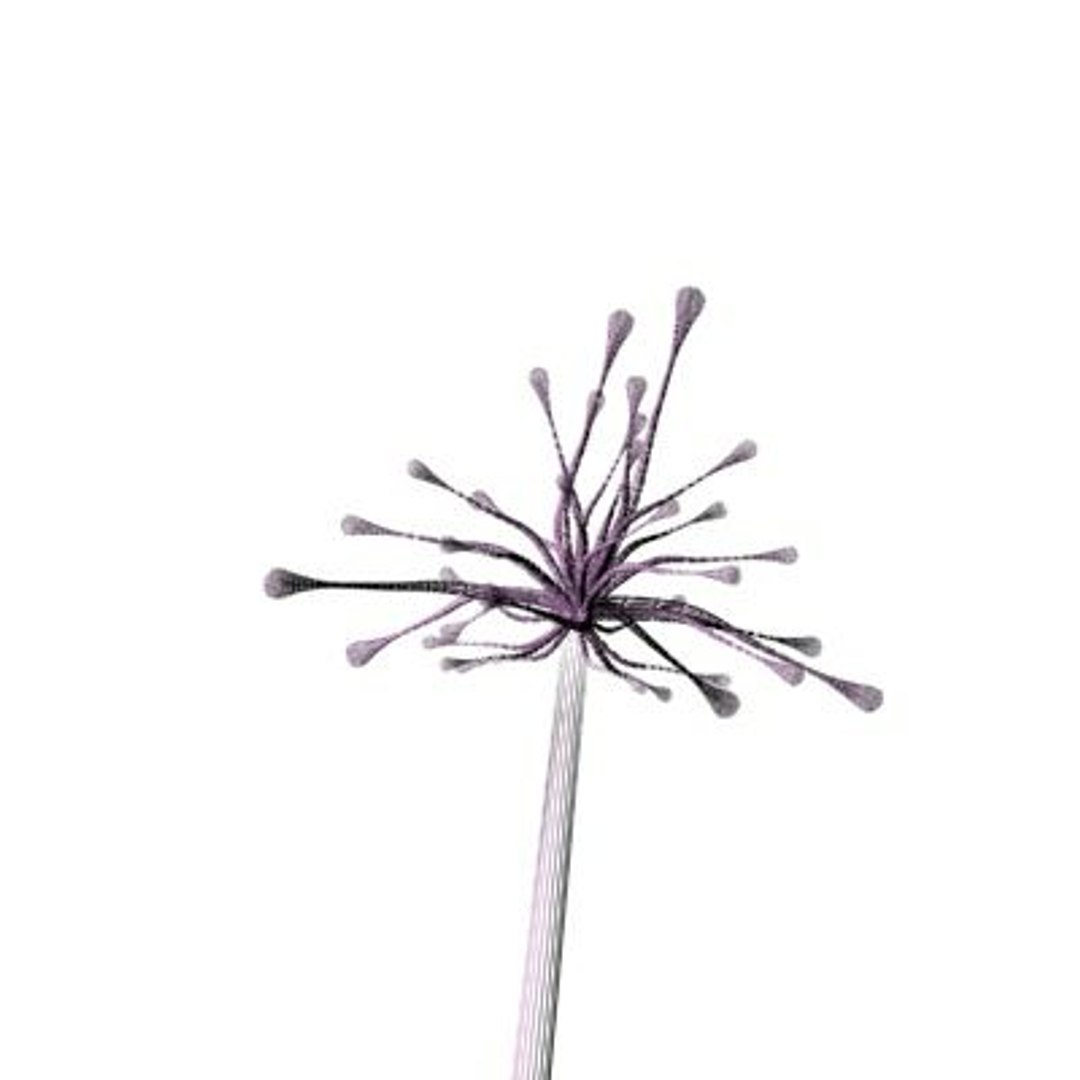 realistic medium orchid 3d model https://p.turbosquid.com/ts-thumb/uU/FLBM5u/j9InQKvR/rchid2aw01/jpg/1244428791/1920x1080/fit_q87/aafcbd5c94bb860cad6b3696947e434ae8807814/rchid2aw01.jpg