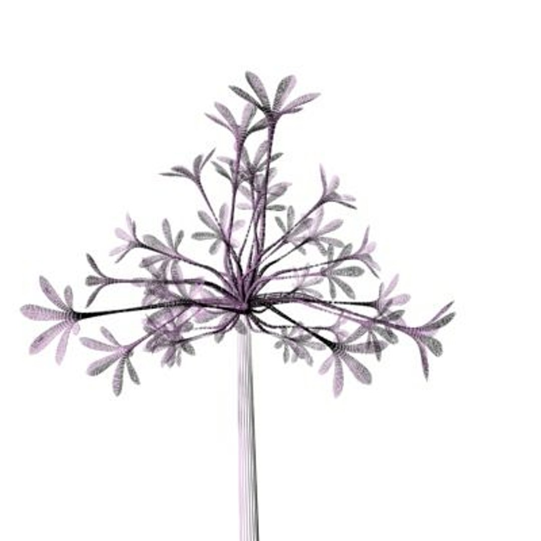realistic medium orchid 3d model https://p.turbosquid.com/ts-thumb/uU/FLBM5u/jnpNmuie/rchid2aw10/jpg/1244429160/1920x1080/fit_q87/8e45a780ce5700bd05f3aa2a31c6263771e3a64b/rchid2aw10.jpg