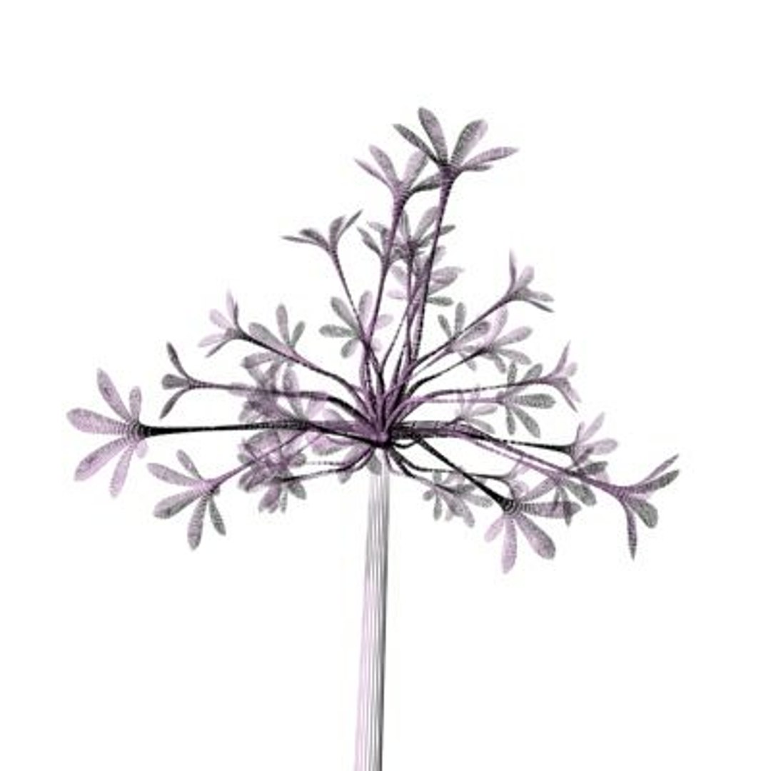 realistic medium orchid 3d model https://p.turbosquid.com/ts-thumb/uU/FLBM5u/tojGVAw1/rchid2aw07/jpg/1244429148/1920x1080/fit_q87/2a4d89f840b08dd54119721532bcbb85cb67bcb0/rchid2aw07.jpg