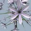 COLLECTION FLOWERS ANIMATED3.1