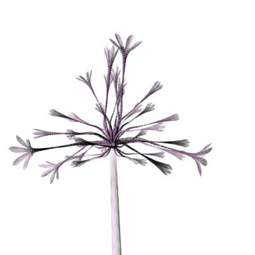 realistic medium orchid 3d model https://p.turbosquid.com/ts-thumb/uU/FLBM5u/w11cgFoX/rchid2aw05/jpg/1244429137/1920x1080/fit_q87/229e17e4e1727396174fb84978226f4f3b00d12f/rchid2aw05.jpg