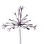 COLLECTION FLOWERS ANIMATED3.1