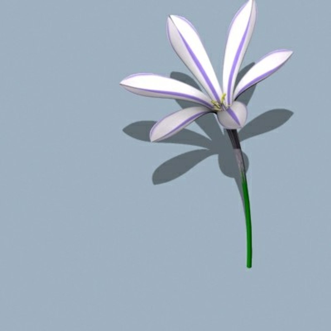 realistic medium orchid 3d model https://p.turbosquid.com/ts-thumb/uU/FLBM5u/w7whMCA9/orop02/jpg/1244427151/1920x1080/fit_q87/68f1ca9d77b24136d449d7ebed3bb935f6f2114b/orop02.jpg