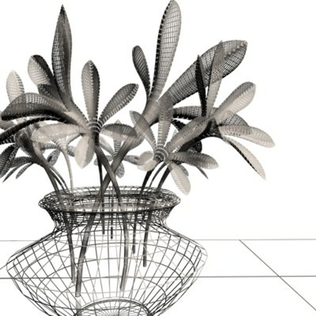 realistic medium orchid 3d model https://p.turbosquid.com/ts-thumb/uU/FLBM5u/yQxSA6kB/orvaw1/jpg/1244429768/1920x1080/fit_q87/ac7fb19cc2969ea390ecb2eb71f8da93ff9d803e/orvaw1.jpg