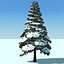 3d model snow pine