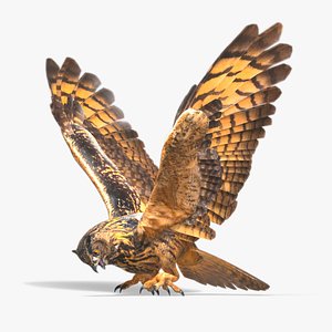 EagleOwl - Rigged and Animated Low Poly 3D Model model