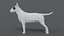 Low Poly Cartoon Bullterrier