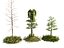 Jungle Forest Ecosystem Pack 20