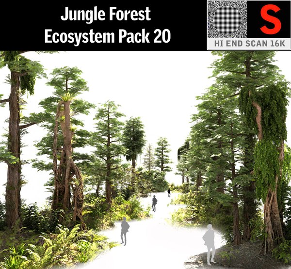 Floresta Mágica Modelo 3D - TurboSquid 1136213