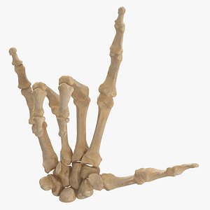 Real Human Hand Bones I Love You Sign