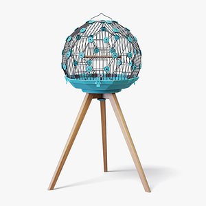 3D Birdcage Geo