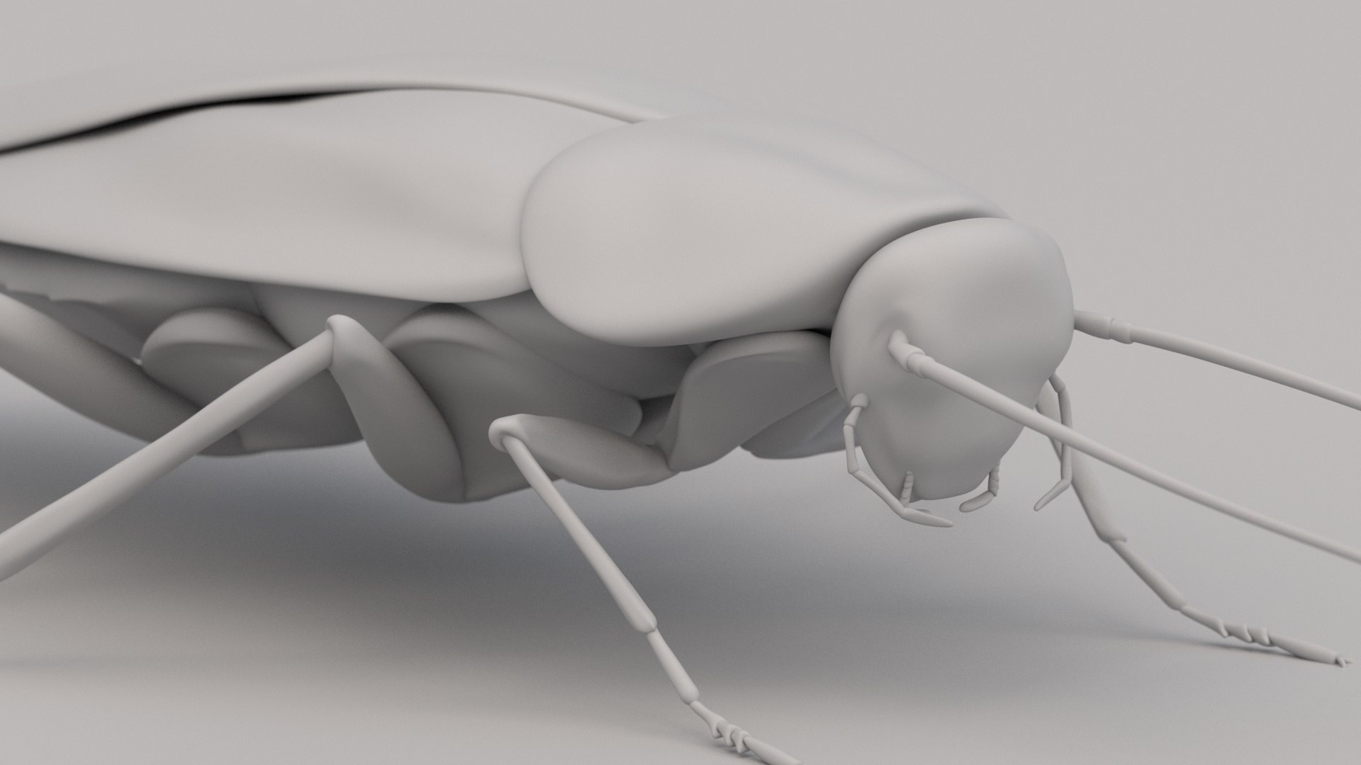Cockroach 3D - TurboSquid 1865270