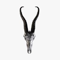 Horn V3 Interior Decor
