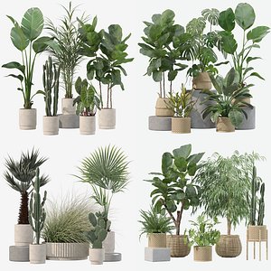 20 Modern Indoor Plants Collection Ficus Palms Cactus Rubber Tree - Set 201 209 216 219