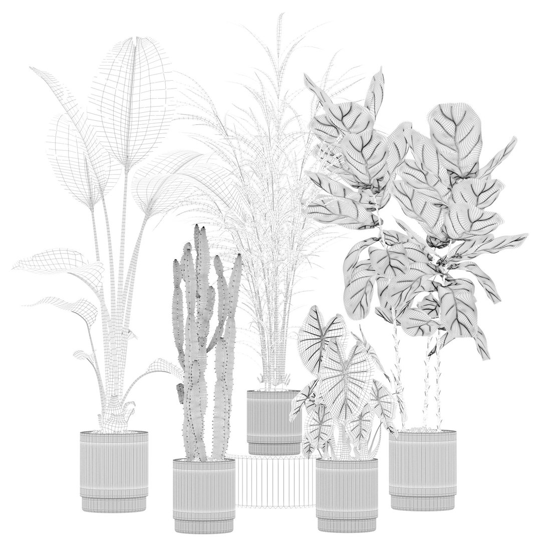 20 Photorealistic Flowers For Interiors - Set 201 209 216 219 3D Model ...