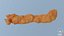 Cheeto 03 3D