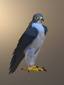 Falcon 3D model