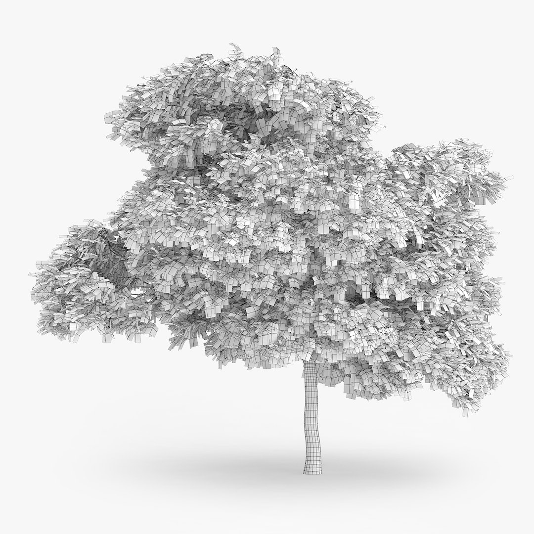 downy birch 6 9m 3d model https://p.turbosquid.com/ts-thumb/uV/gPNnJH/bwsTOdmE/1304/jpg/1442551689/1920x1080/fit_q87/88a8d7d202e6b518f52afa448f223eb6a02a8701/1304.jpg