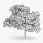 Downy Birch Tree 6.9m