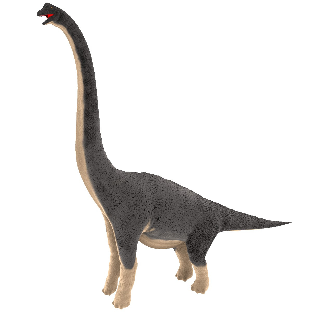 brachiosaurus 3d view