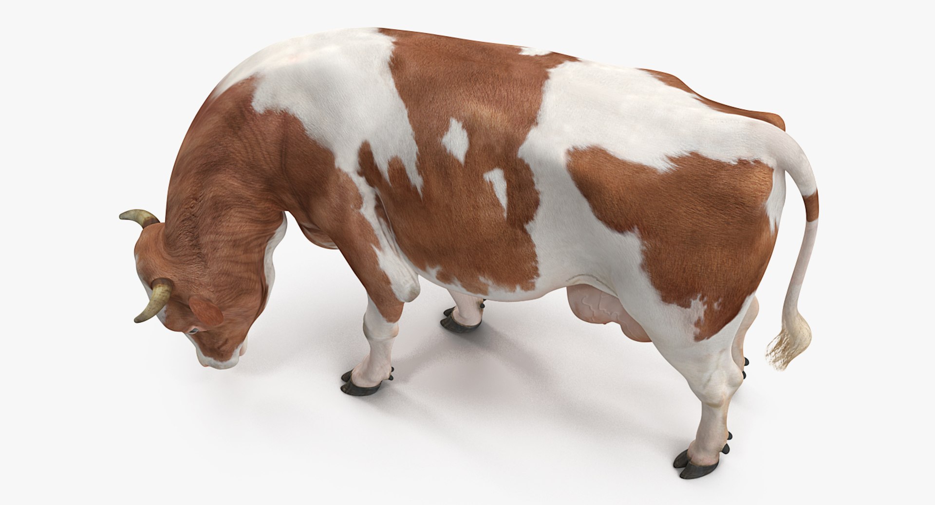 cow rigged model https://p.turbosquid.com/ts-thumb/uV/xOcHSe/D598dR9R/cowriggedc4dmodel011/jpg/1517634896/1920x1080/fit_q87/48da5dfbcae160a59b60344084511ea69e15def1/cowriggedc4dmodel011.jpg