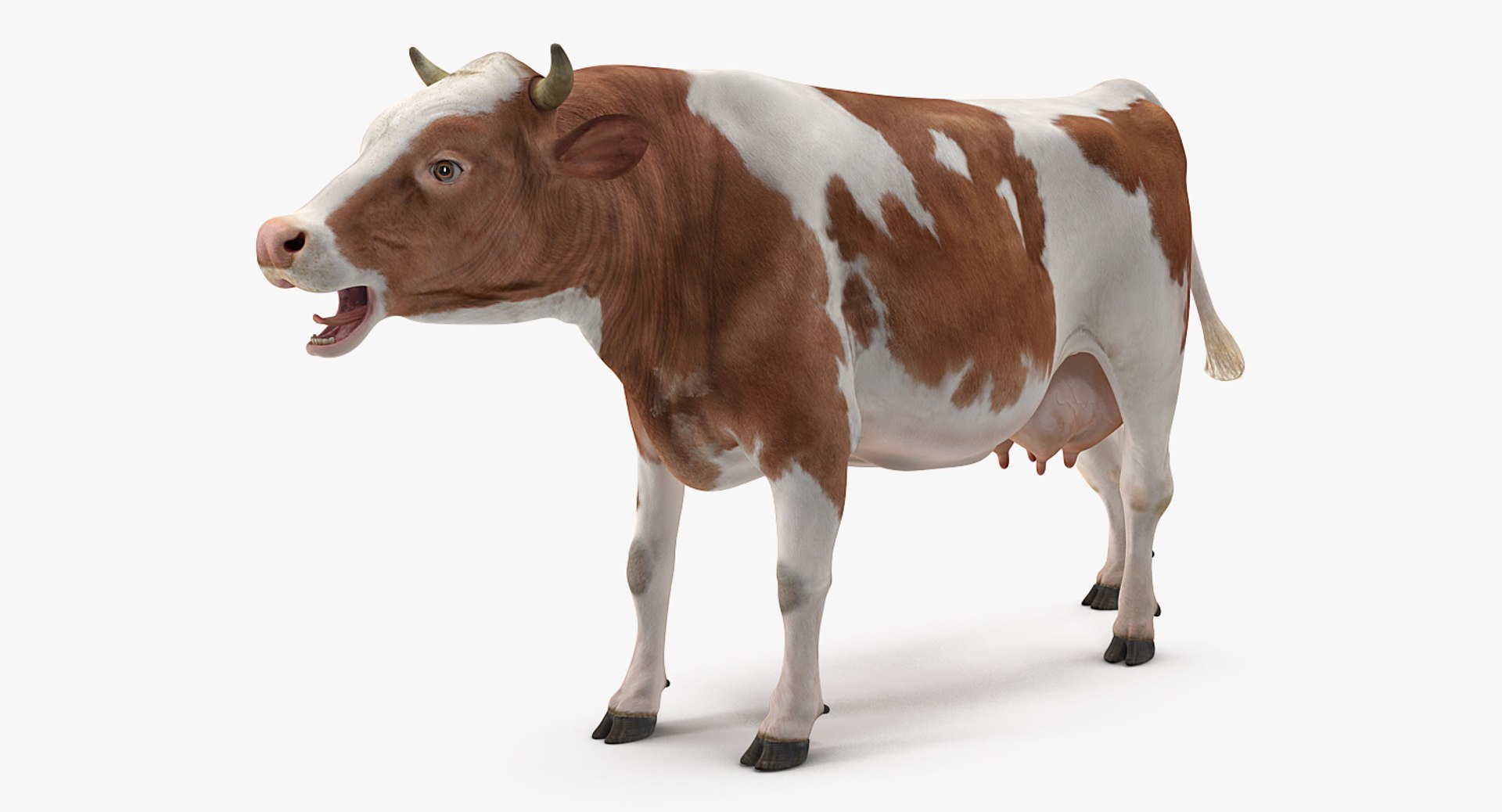 cow rigged model https://p.turbosquid.com/ts-thumb/uV/xOcHSe/bA3T068y/cowriggedc4dmodel004/jpg/1517634870/1920x1080/fit_q87/c7db63b83deb60ff519abbe80352c4e2b2500680/cowriggedc4dmodel004.jpg