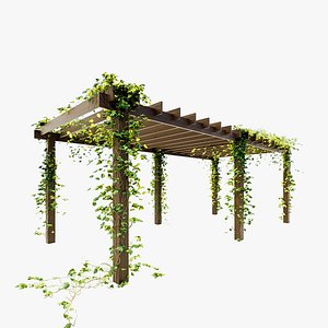 Pergola with ivy